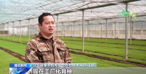 视频丨清明抢抓农时 科技赋能春耕