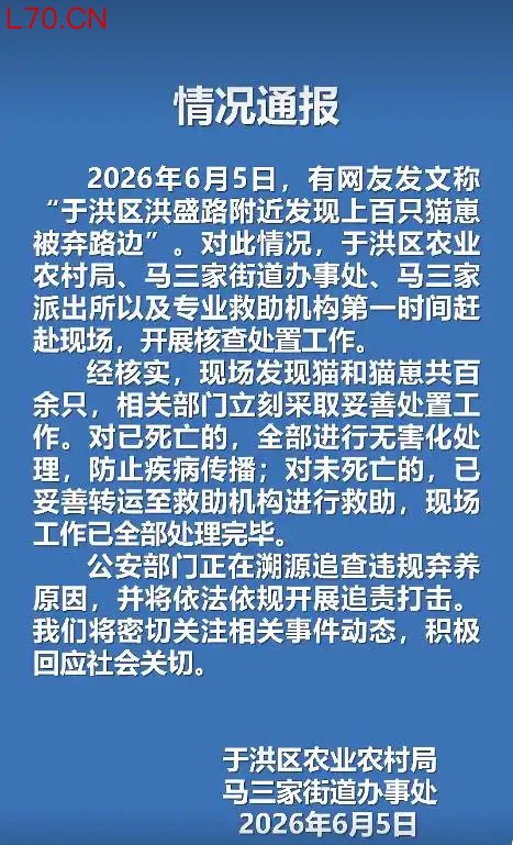 官方通报上百只猫崽被弃路边